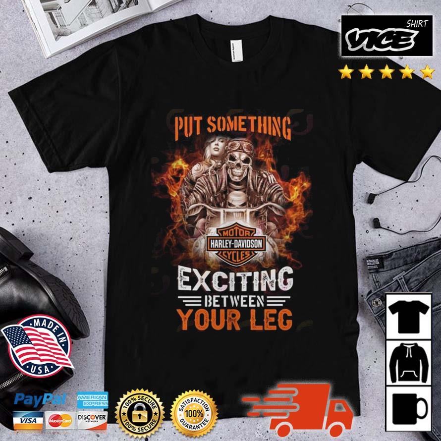Put Something Exciting Between Your Legs HDM Shirt